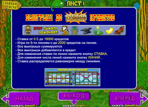 Изображение игрового автомата Crazy Monkey
